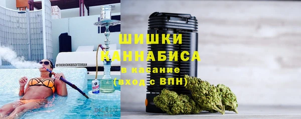 прущие крисы Бородино