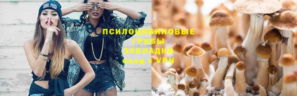 а пвп мука Бугульма