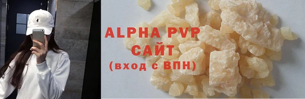 прущие крисы Бородино